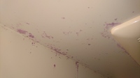 浴室の壁のピンク汚れが何をやっても取れません 写真の通りかなり広範囲で目立つ 気 教えて 住まいの先生 Yahoo 不動産