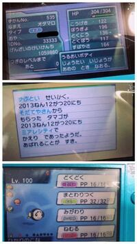 ポケモンorのミラクル交換でlv 100の色違い 6vのこのオタマロって改造です Yahoo 知恵袋