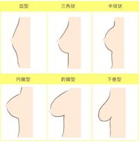 高一女子です 胸の形が 画像の三角状ってやつに近いんですけど もっと綺麗な Yahoo 知恵袋