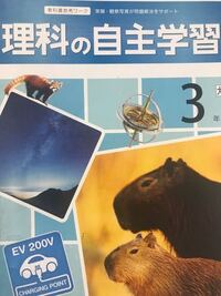 中1の社会の自主学習 地理 の答え合わせしたいけど 解答をなくしました 2 Yahoo 知恵袋