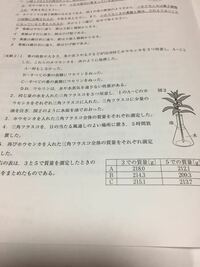 中学理科ホウセンカの茎a Cを用意し Aは葉の裏側 Bは葉の表側にワセリ Yahoo 知恵袋