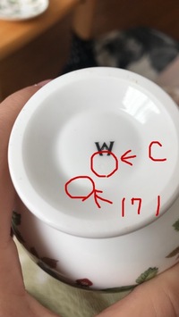 だいぶ前に購入したウェッジウッドですが、このバックスタンプは