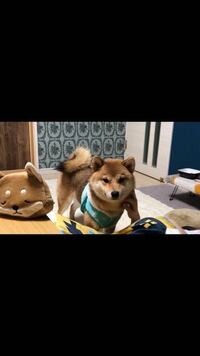 アクサダイレクトのcmで 岡田将生さんのお父さん役をして Yahoo 知恵袋