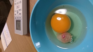卵を割る 英語 卵を割る 意味 英語