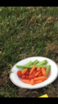 オレンジ色 の食べ物といったら何が浮かびますか オレン Yahoo 知恵袋