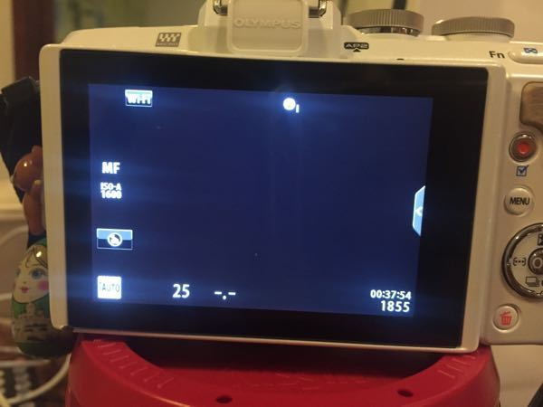 OLYMPUSPENliteE-PL7を使っています - 突然、カメラの液... - Yahoo!知恵袋