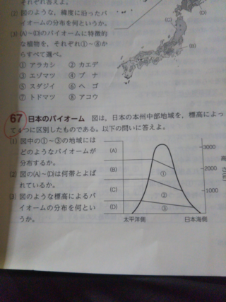 高校の生物基礎についてです この問題の １ の答えが 針葉 Yahoo 知恵袋