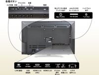 妊娠希望です よく排卵日辺りに長く伸びるおりものが出ると聞き Yahoo 知恵袋