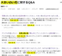 大きい白い花 という表現はどうして正しいのですか 大きくて白 Yahoo 知恵袋
