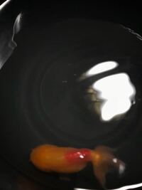 金魚が水中に潜ることができません 水面を泳いでいる金魚のをし Yahoo 知恵袋
