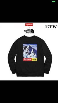 Supremeとthenorthfaceコラボの雪山のトレーナーは偽物はも Yahoo 知恵袋