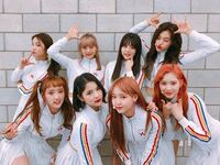 Wekimekiのメンバーの名前を教えてください ユジョンとドヨ Yahoo 知恵袋