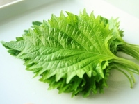 創価大学って偏差値どのくらいなんでしょうか 他の大学でどの大学が創価大 Yahoo 知恵袋