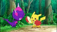 ポケモンアニメの世界にも普通にリンゴあるんですか ピカチュウの好物が Yahoo 知恵袋