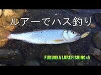 琵琶湖の安曇川河口にハスをルアーで狙いに行きたいのですが 無料駐車場 Yahoo 知恵袋