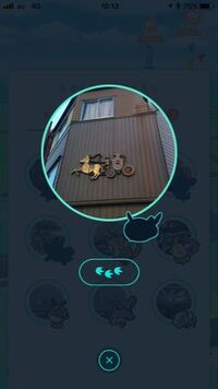 ポケモンgoこれって何ですか ノコッチ Yahoo 知恵袋