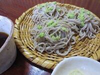 ざるそばの薬味のネギがないっ 玉ねぎ刻んでは ちょっときつ過ぎ Yahoo 知恵袋