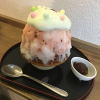 こういうかき氷はカロリーや糖質はいくつくらいなんでしょうか 桜のあんこのシ Yahoo 知恵袋