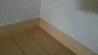 部屋に紙魚の幼虫が出ます ラベンダーの消臭力は効きますか 引越 Yahoo 知恵袋