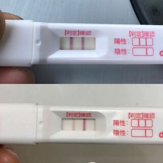 体温急降下 高温期13日目