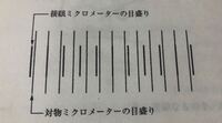 生物基礎です 解答と解説お願いします の条件から 対物 Yahoo 知恵袋