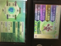 ポケモン耐久について Hbd100のポケモンで振り分け努力252性 Yahoo 知恵袋