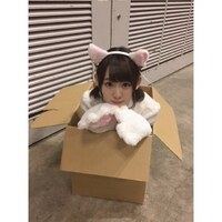 乃木坂46秋元真夏が同じように捨て猫姿で 飼い主募集中 と言ったらメンバー Yahoo 知恵袋