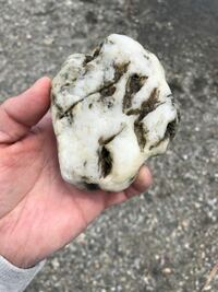 光を当てて白く透ける 丸みのある石 はどのような石がありますか 海岸で拾った Yahoo 知恵袋