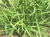 絶えず と 絶えまず の違いについて教えてください Yahoo 知恵袋