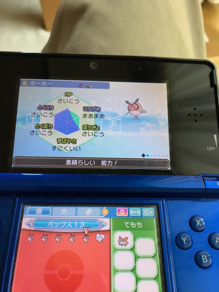 いろめがねホーホーいろめがね 特殊アタッカー型 ヨルノズクを育成 Yahoo 知恵袋