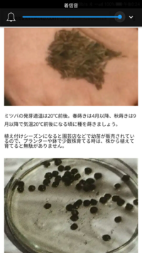 馬油シャンプーで髪の毛が生えた人は居ますか 私 現在74歳 ひょんな事 Yahoo 知恵袋