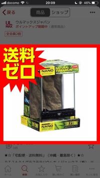 グラステラリウムナノで飼育できる爬虫類 両生類を教えてください Yahoo 知恵袋