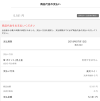 楽天ペイオンライン決済 クレジットカード が突然できなくなった 前はまっ Yahoo 知恵袋