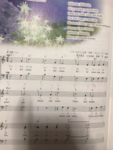 エーデルワイスの楽譜 これで合ってますか 音を書きました 音を書きま Yahoo 知恵袋