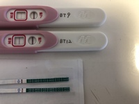 Bt7 10判定後の妊娠検査薬 Pチェック 不妊の日々 楽天ブログ