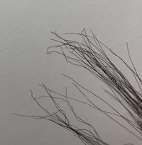 この毛先は直りますか 美容室でストレートパーマをかけたのですが 一部だけ毛 Yahoo 知恵袋