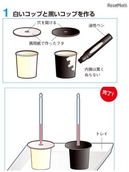 大至急お願いします ほんとにお願いします 理科の自由研究 Yahoo 知恵袋