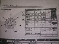 土壌診断でｐｈが７ ３で 下げる方法をおしえて下さい ｐｈが７ Yahoo 知恵袋