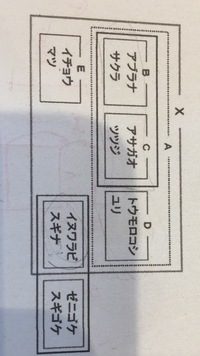 画像のグループ分けの特徴を記号ごとに全部教えてください Aは被子植物 Yahoo 知恵袋