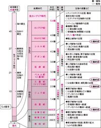 高校生物の進化について質問です いろんな問題集をやってるのですが問題 Yahoo 知恵袋