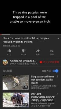 君は僕を信じないのかい いや 信じるよこの文を英語にしてください Yahoo 知恵袋