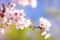 この画像について質問です これはテロップに 計画通り を入れただけで Yahoo 知恵袋