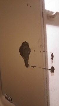 スターツの賃貸アパートに住んでいます 浴室に備え付けの鏡がサビ に覆われてきてい 教えて 住まいの先生 Yahoo 不動産