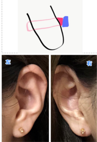 ピアスについて 左２つ 右１つ開いている場合みなさんならどんなピアスをどの Yahoo 知恵袋