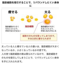 痩せてる人も太ってる人も 元々の脂肪細胞の数に差はないのでしょうか 脂肪吸 Yahoo 知恵袋