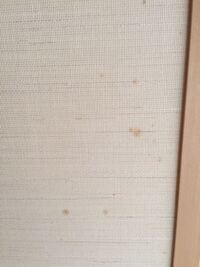 ふすまのこの染みはとれませんか こうならない為の対策とかされています Yahoo 知恵袋