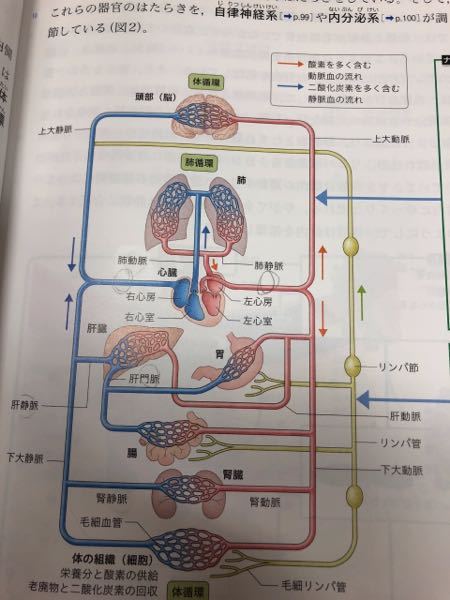 塾のテストで、Bの鉛筆で受けないといけないのですが、HBで受けて 