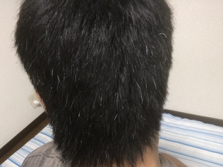 50 30 代 白髪 真っ白 無料のヘアスタイルの画像