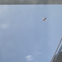 あれは私の家のベランダから撮った写真です って英語で何ていうのか教え Yahoo 知恵袋