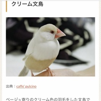 文鳥の名前について 今度クリーム文鳥の雛をお迎えするのですが 名 Yahoo 知恵袋